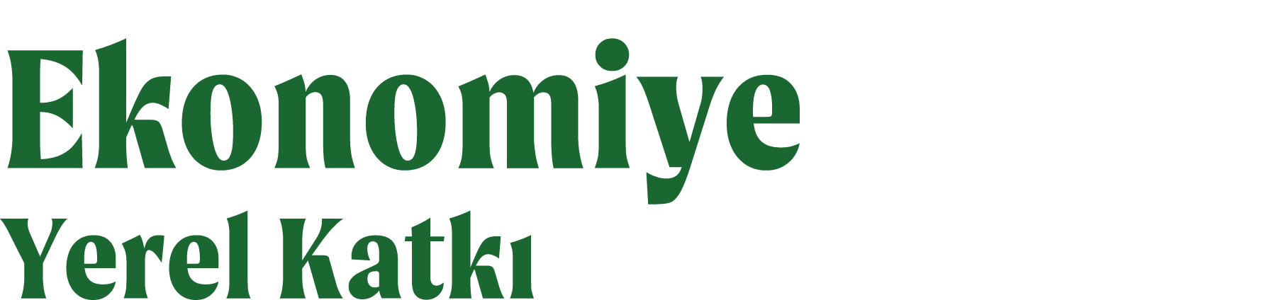 Ekonomiye Yerel Katk 